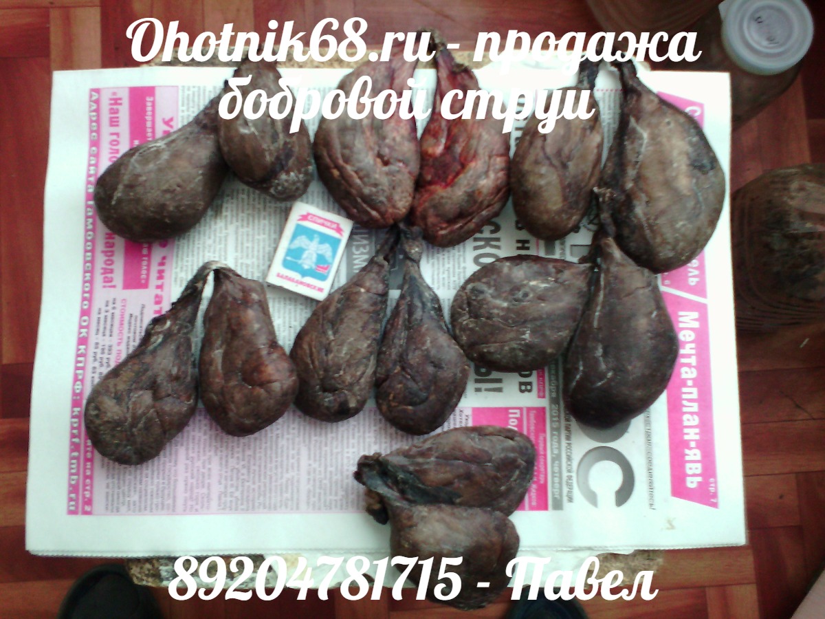 Природные сокровища тайги для вас